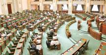 Stire din Politică-Administrație : Închisoare pentru ofensa adusă însemnelor naționale