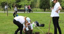 Stire din Social : Plantare de copaci în parcul Universității "Ovidius"