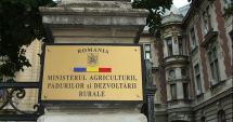 Stire din Economie : Lansarea unor sesiuni de depunere a proiectelor cu fonduri europene a fost amânată