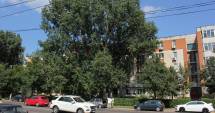 Stire din Social : ANM. Cum va fi vremea astăzi, la Constanța