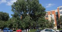 Stire din Social : ANM. Cum va fi vremea astăzi, la Constanța