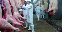 Stire din Economie : Anunț important despre depozitarea privată a cărnii de porc