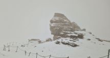 Stire din Social : Ministerul Mediului intervine în disputa juridică privind platoul Bucegi