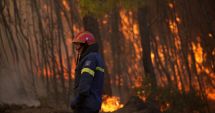 Stire din Actualitate : Incendiu puternic pe insula grecească Thasos! Oamenii au fost evacuaţi de urgenţă