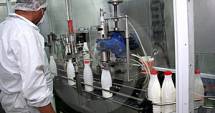 Stire din Economie : Situație îngrijorătoare în industria laptelui