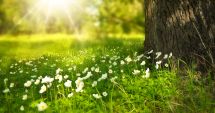 Stire din Social : Prognoza meteo pentru vara lui 2022. Directorul ANM avertizează că "va fi una a extremelor"