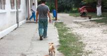 Stire din Eveniment : Caz șocant la Constanța.  A sunat la serviciu  și a anunțat  că și-a spânzurat copilul