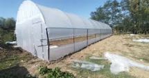 Stire din Politică-Administrație : PSD va solicita în coaliție eliminarea impozitului pe solarii