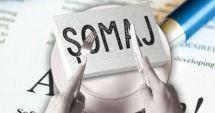Stire din Social : Mii de șomeri au fost angajați în urma Bursei locurilor de muncă