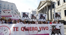 Stire din Actualitate : Spaniolii nu mai vor coride! Manifestații de amploare, la Madrid