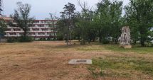 Stire din Politică-Administrație : Spațiile verzi scoase la vânzare, salvate de la "defrișare" în ședința Consiliului Local