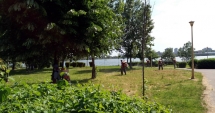 Stire din Social : Primăria Constanța se luptă cu căpușele și insectele din oraș și din Mamaia