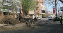 Stire din Social : Spațiul verde din Constanța, înfrumusețat!