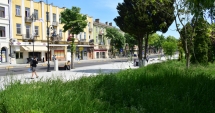 Stire din Politică-Administrație : Vrei să construiești o casă, un bloc sau o școală  în Constanța? Vei fi obligat să plantezi iarbă și copaci