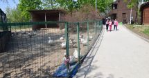 Stire din Social : Spiriduşii lui Moş Crăciun ajung şi la Microrezervaţia din Constanţa
