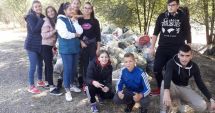 Stire din Sport : DJST Constanța, implicată în proiectul "Mișcare pentru un mediu curat"