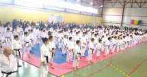 Stire din Sport : Sportivii de la CS Karate Tradițional Eforie, laureați la Naționale