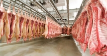 Stire din Economie : Sprijin pentru depozitarea privată  a cărnii de porc
