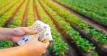 Stire din Economie : Sprijin de peste un miliard de lei pentru fermierii din sectoarele vegetal și zootehnic