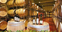 Stire din Economie : Sprijin pentru investiții în sectorul vie-vin
