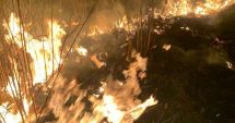Stire din Eveniment : Pompierii au acționat 5 ore pentru stingerea unui incendiu de vegetație