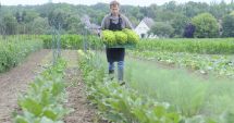 Stire din Economie : A început plata pentru sprijinul cuplat în sectorul vegetal