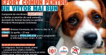 Stire din Social : De azi, începe campania GRATUITĂ de sterilizare a animalelor, la Constanţa