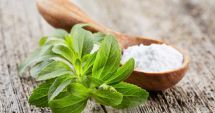 Stire din Sănătate : Stevia este un îndulcitor natural care vă ajută să slăbiți