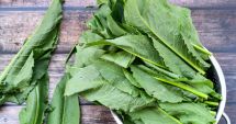 Stire din Sănătate : Ştevia are proprietăţi depurative şi ajută la detoxifierea organismului