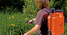 Stire din Social : Primăria Constanța a început stropirea spațiilor verzi din oraș cu insecticide