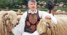Stire din Economie : Subvenția de un leu nu împiedică lâna românească să ajungă la gunoi sau la foc