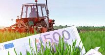 Stire din Economie : Subvenții în avans pentru agricultură