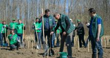 Stire din Economie : Suprafața împădurită a României e în ușoară creștere