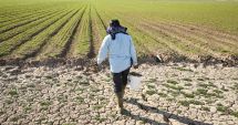 Stire din Economie : Jale în agricultura constănţeană! „E secetă, pe câmp nici ambrozia nu mai creşte, iar preţurile pentru recoltă sunt ridicole”