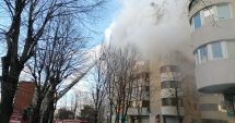 Se „sparge buba cu puroi” de la ISU Dobrogea? Numeroase nereguli, găsite într-o singură zi!
