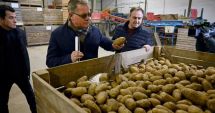 Stire din Economie : Dispare cartoful românesc? Cultivatorii au redus drastic suprafeţele