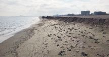 Stire din Social : Plaja din Mamaia, înghiţită de valuri. „Se micşorează zona de nisip şi creşte cea de îmbăiere!”