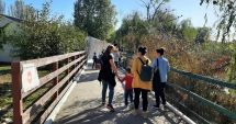 Stire din Social : Microrezervaţia se degradează văzând cu ochii. "De trei ani de zile s-au făcut numai cârpeli"