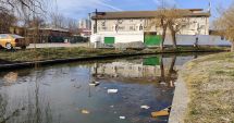 Stire din Social : Canalul din Satul de Vacanță, plin de mizerii! "Vom repeta acțiunea de igienizare dacă este cazul"