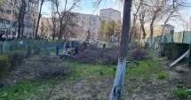 Stire din Social : Copacii au dispărut, liber la parcare?! „Noi, cetățenii, nu avem niciun drept, nu ne apără nimeni”