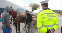 Stire din Eveniment : Sute de căruțași, amendați de polițiștii locali, în Constanța