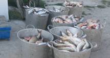 Stire din Eveniment : Sute de kilograme de pește și articole de pescuit, confiscate de polițiști