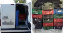 Stire din Eveniment : Sute de kilograme de pește braconat, confiscate de polițiștii de frontieră