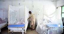 Stire din Actualitate : Sute de noi cazuri de infectare cu febra Dengue, în Pakistan. Oamenii mor pe bandă rulantă