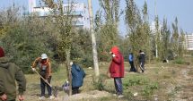 Stire din Social : Mii de flori plantate în campania "Curățăm  Constanța noastră"