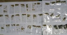 Stire din Eveniment : Tânăr prins cu 37 de pliculeţe cu substanţe hulucinogene, în zona Anda