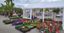 Stire din Economie : Spectacolul grădinilor în sărbătoare! Constănţenii, invitaţi, în weekend, la "Piaţa de Flori"