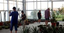 Stire din Social : La Techirghiol poţi vizita o grădină botanică unică pe litoral