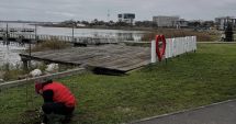 Stire din Social : Administraţia locală din Techirghiol a plantat sălcii pe malul lacului