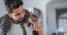 Stire din Sănătate : Terapia cu pisici vă îmbunătățește starea de spirit